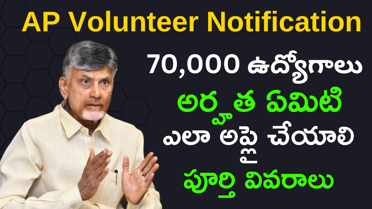 AP Volunteer Notification 2024 Key Dates and Important Information