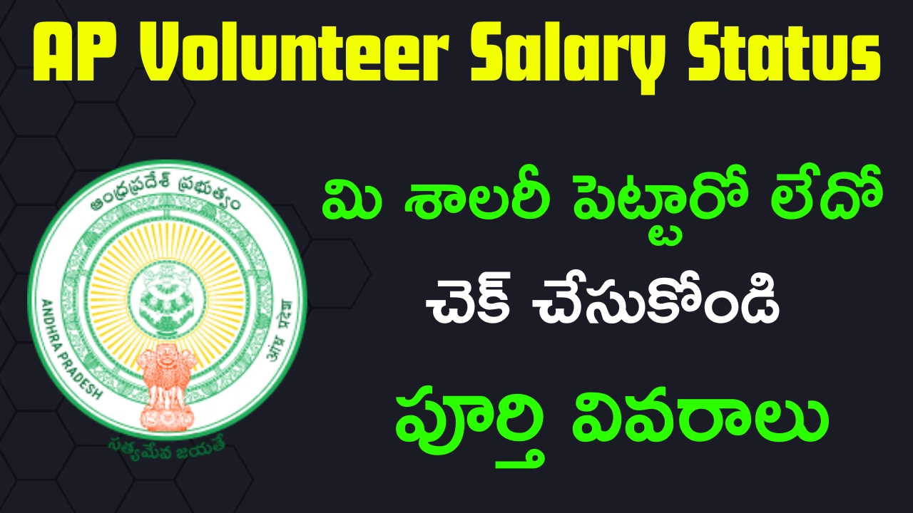 Volunteers Salary Status